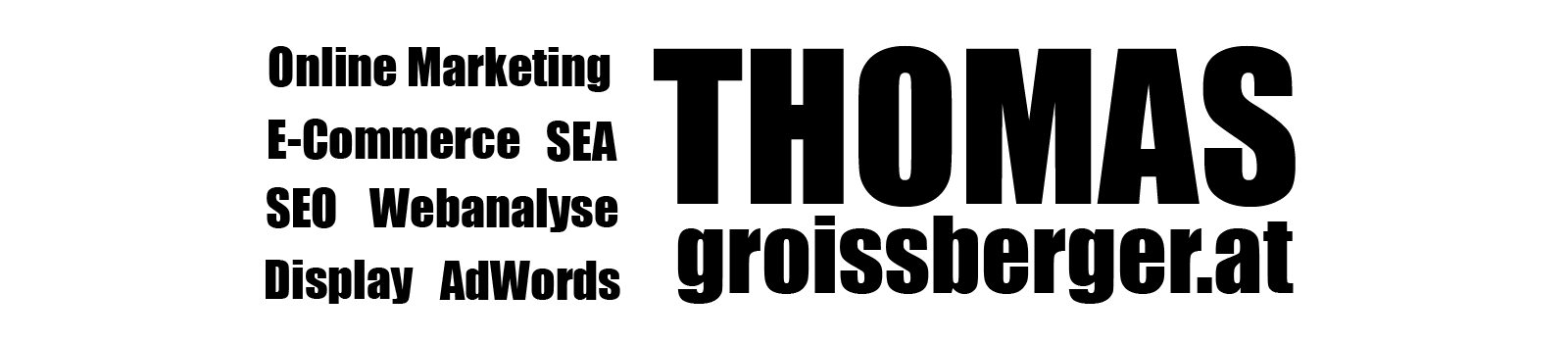 Thomas Groissberger Logo
